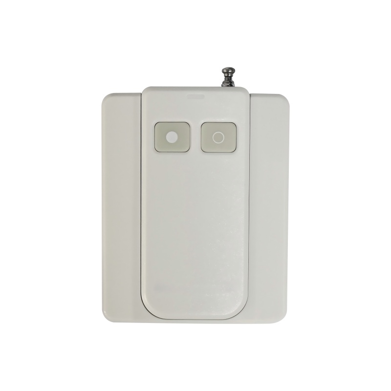 30W remote